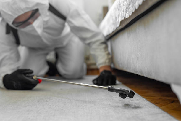 Professional Bed Bug Control technician working in Marshalltown, IA