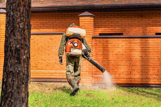Trusted Rodent Control service in Marshalltown, IA - Nex Pest Control
